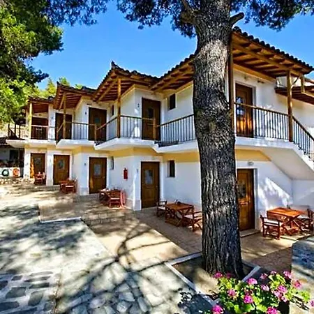 The Pine Trees Hotel 3*