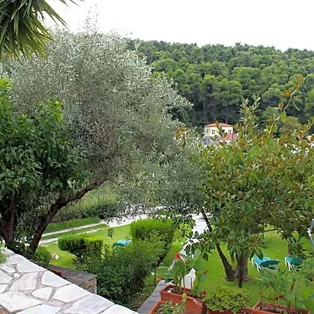 The Pine Trees Skopelos