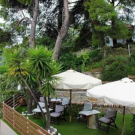 The Pine Trees Skopelos
