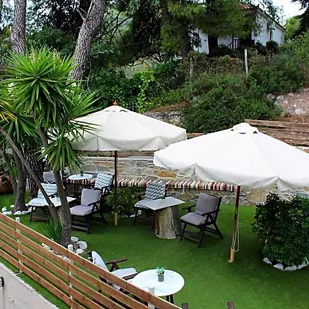 The Pine Trees 3*